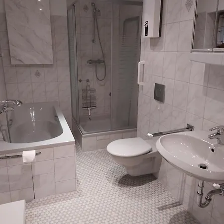 Fichtel Dağ evi *